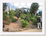 0958-Eden Project * 800 x 600 * (116KB)